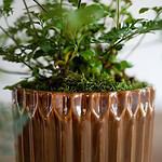 05260-4-kruka-WILMA-beige brun-Wikholm form