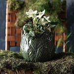 05280-2-kruka-NEA-grön-Wikholm form