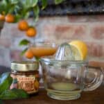 En klassisk citruspress i glas från Strömshaga med en halvpressad citron på toppen. I bakgrunden syns en burk apelsinmarmelad, ett cocktailglas med citrusjuice och en apelsinväxt mot en tegelvägg.