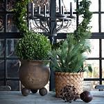 52195-2-korg-NILA-natur-Wikholm form