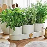 7151-602-2-kruka-kryddor-burgon-ball