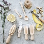 329000-2-citruspress-tra-stromshaga