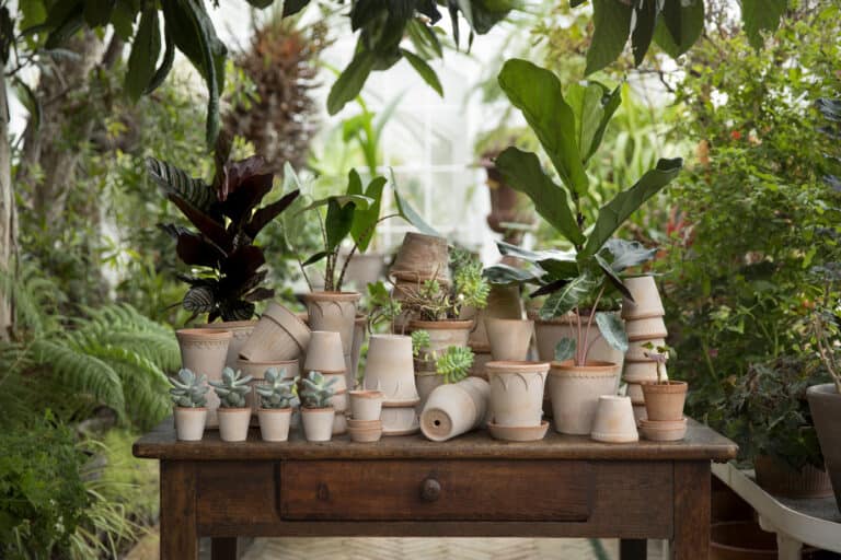 Terrakottakrukor – en tidlös klassiker för ditt hem och trädgård