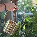 7301-001-2-vattenkanna-massing-reydig