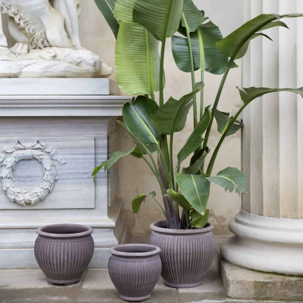 bergs-potter-kruka-gra-piccolina-3