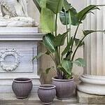 bergs-potter-kruka-gra-piccolina-3