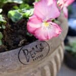 Bergs Potter kruka Piccolina grå med blommande pensé.