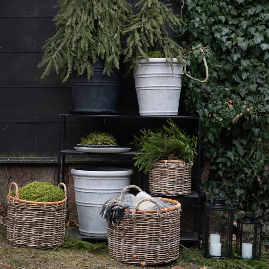 Alexia rottingkorgar fyllda med grönska och mossa för en naturlig vinterdekoration.