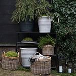 Alexia rottingkorgar fyllda med grönska och mossa för en naturlig vinterdekoration.