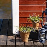 Två Alvaro-krukor med blå blommor placerade på ett trädäck vid en röd stuga, med gamla lyktor som dekoration.