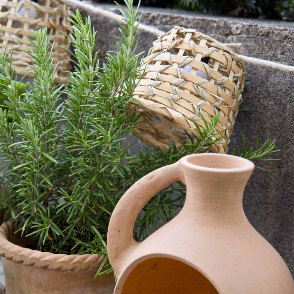 Närbild på ljusslinga i bambu från Madam Stoltz, upphängd framför en rosmarinplanta i terrakottakruka, med en handgjord ljuslykta i lerkrus i förgrunden.