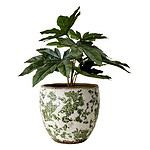 Victoria-krukan från Affari of Sweden, fylld med en grön växt. Krukan har en vit och grön design med blommigt mönster och en rustik, glaserad yta.