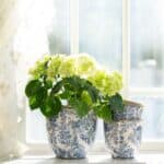 Mirabelle-krukor i blåvitt stengods från Wikholm Form, placerade i ett soligt fönster. En av krukorna innehåller en blommande grön hortensia, medan de andra är staplade bredvid.