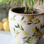 Närbild av Lemona Kruka från Affari of Sweden med citronmönster och rustik patina, fylld med en grön växt. Citroner i glaskupa syns i bakgrunden.