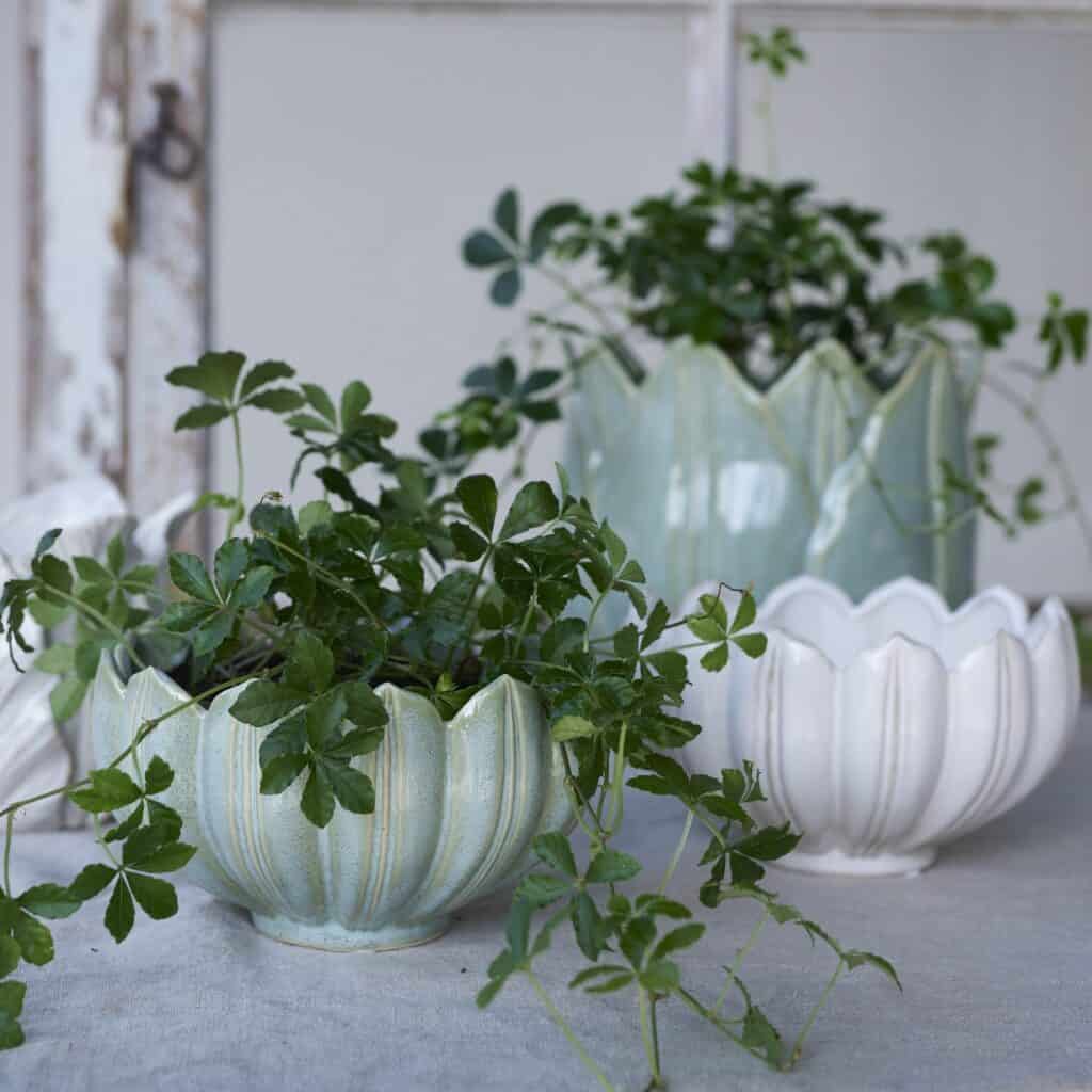 Krukor Leslie från Wikholm Form i offwhite och grönt stengods med frodig grön växt på ett bord