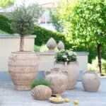 Urnor i antik terrakotta från Wikholm Form, vackert arrangerade på en träaltan med grönskande bakgrund. Olivträd, hortensior och dekorativa detaljer skapar en harmonisk och medelhavsinspirerad atmosfär.