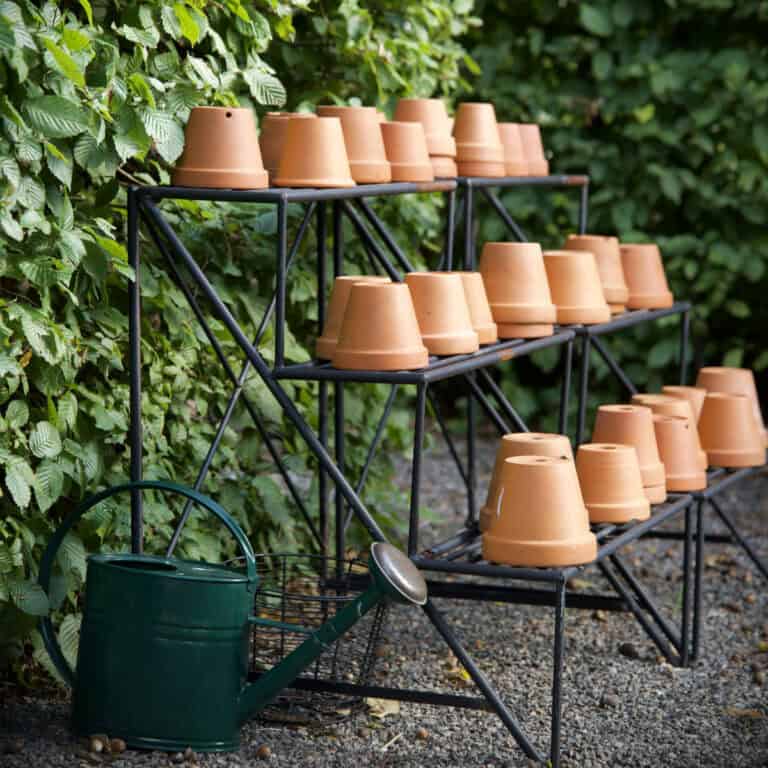 September i trädgården