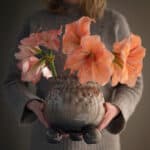 Brunnmelerad Anya-kruka med amaryllis – julens vackraste kombination i varm ton.