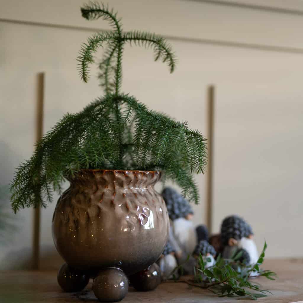 Anya-kruka med liten gran – brunnmelerad glaserad porslinskruka på kulfötter.