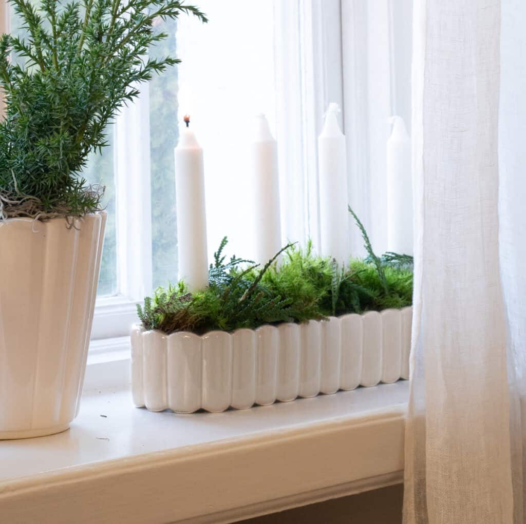 Vit EDNA ljusstake med fyra ljus i fönster, omgiven av gröna växter och naturligt ljus.