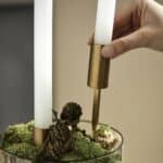 Mässingsfärgad ljushållare med spets placeras i mossa för att skapa ett dekorativt ljusarrangemang.