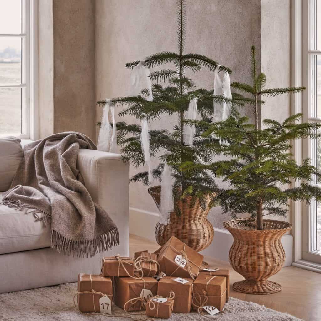 Urnor i rotting i två storlekar med små granar placerade i vardagsrum