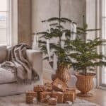 Urnor i rotting i två storlekar med små granar placerade i vardagsrum