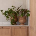 Urnor i rotting med gröna växter placerade på skåp mot vägg