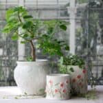 Vit porslinskruka Eliza med blomrelief i miljö med gröna växter på bord