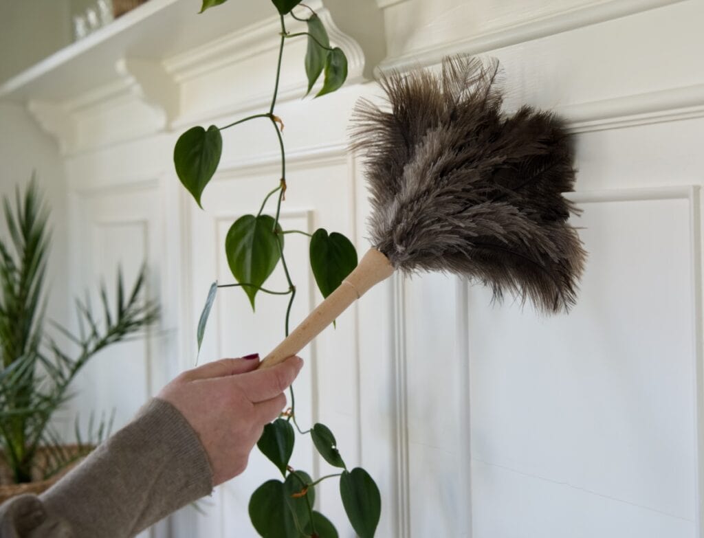 Damma hylla i vardagsrum med dammvippa under vårstädning