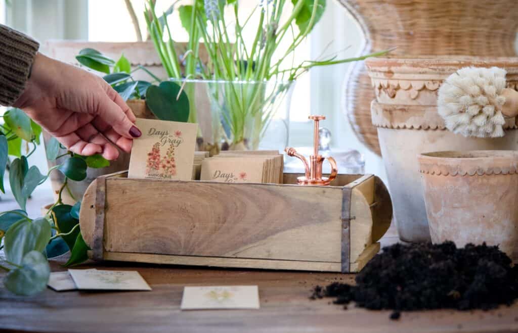 Hand som väljer en fröpåse inför frösådd.