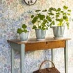 Tre gröna randiga krukor i stengods med växter på träbord mot blommig tapet