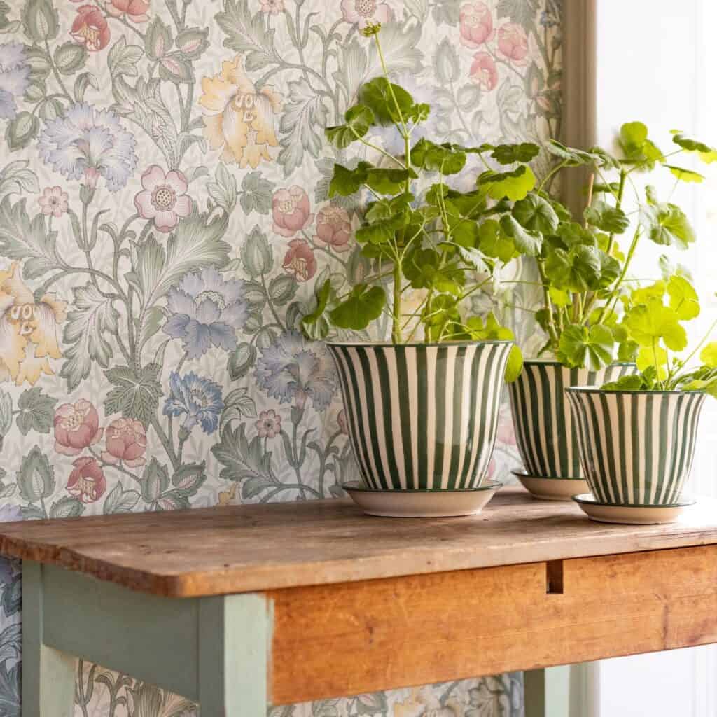 Grön randig kruka i stengods med växt på träbord vid fönster