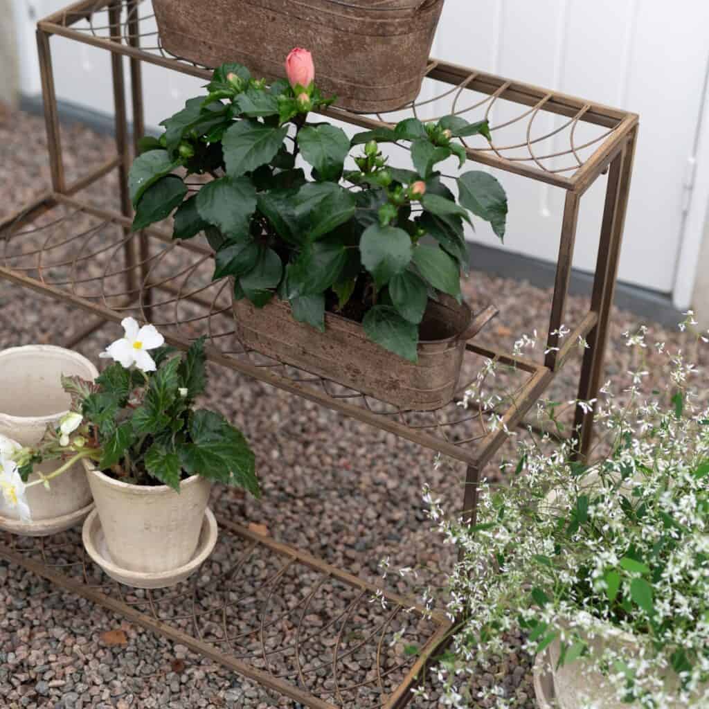 Blomhylla Valeria med växter och krukor i trädgård