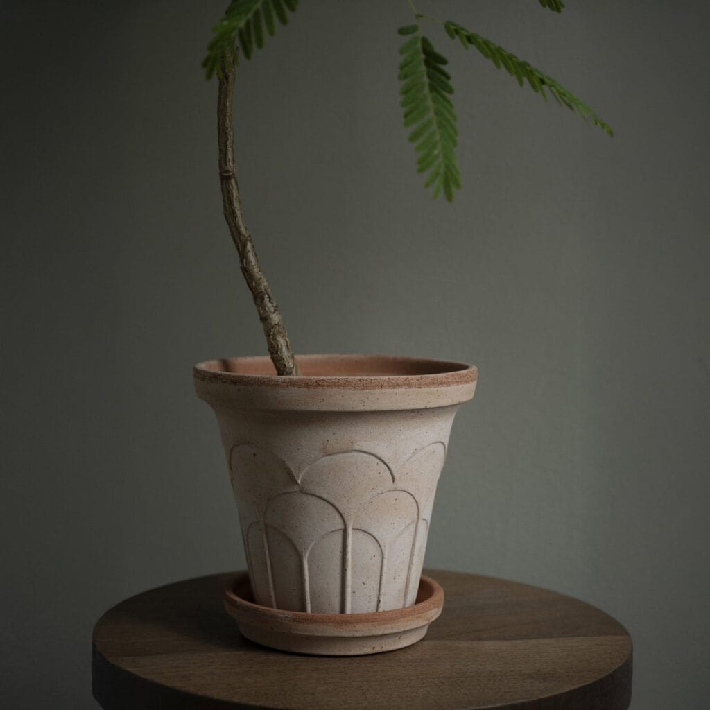 Bergs Potter Fleur kruka med fat i rosa terrakotta med grön växt