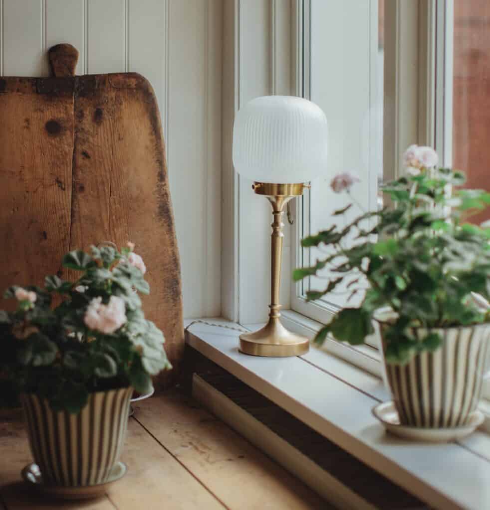 Fönsterbräda med pelargoner i randiga krukor och bordslampa i mässing